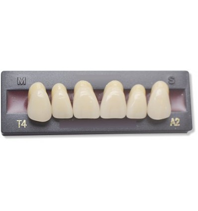 https://www.toutdentaire.com/255-large_default/dents-artificielles-pour-dentier-et-appareil-amovible.jpg